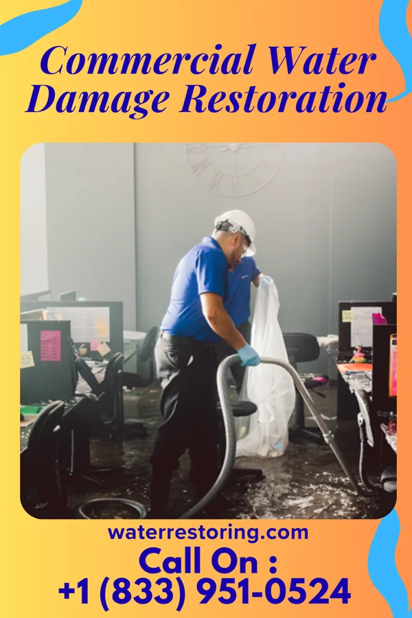 Commercial Water Damage Restoration in Tybee Island, GA
