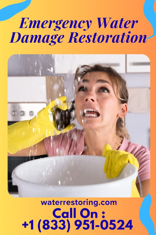 Emergency Water Damage Restoration in Tybee Island, GA