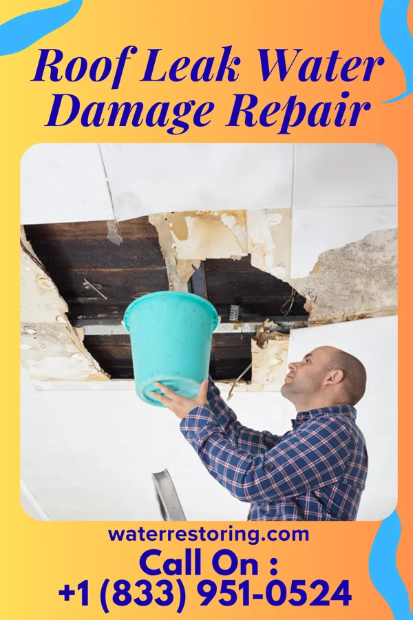 Roof Leak Water Damage Repair in Tybee Island, GA